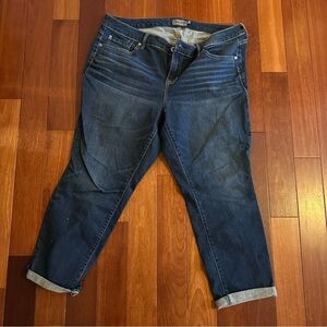 Women's Torrid Jeans